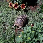 Grlic Obiteljski Odmor * Vodice