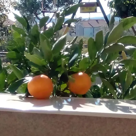 Apartamento Grlic Obiteljski Odmor