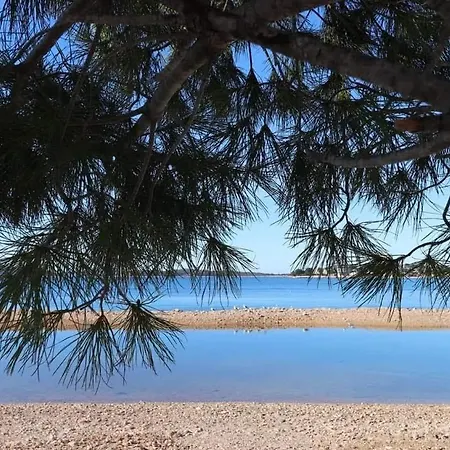 Grlic Obiteljski Odmor Apartamento *