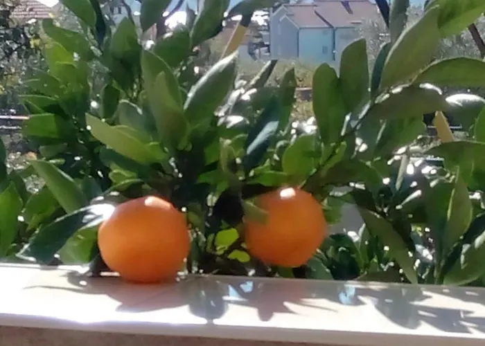 Apartamento Grlic Obiteljski Odmor