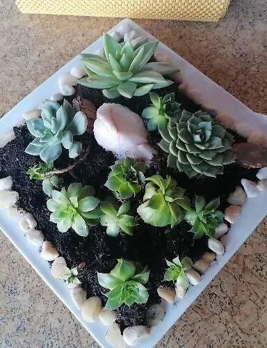 Grlic Obiteljski Odmor * Vodice